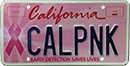 Breast Cancer Personalized License Plate